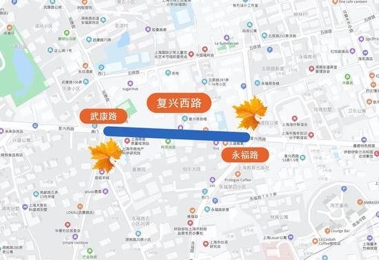 上海今年41条落叶不扫景观道公布 其中2条明天就启动