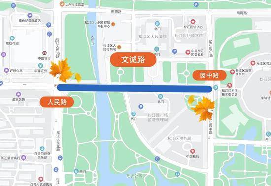 上海今年41条落叶不扫景观道公布 其中2条明天就启动