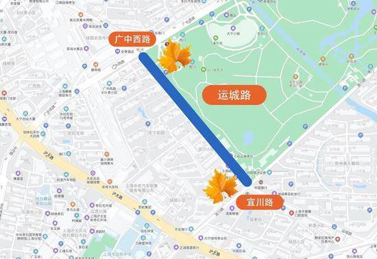 上海今年41条落叶不扫景观道公布 其中2条明天就启动