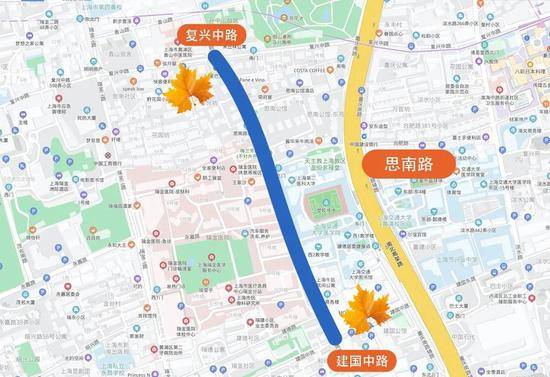 上海今年41条落叶不扫景观道公布 其中2条明天就启动