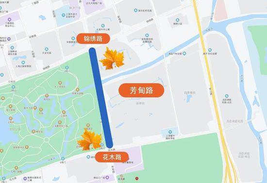 上海今年41条落叶不扫景观道公布 其中2条明天就启动