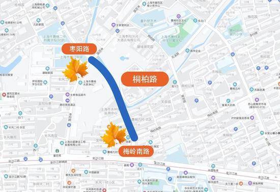 上海今年41条落叶不扫景观道公布 其中2条明天就启动