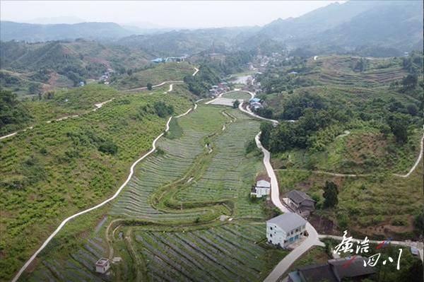 开江县：汗水浇灌“花果山” 穷山窝变新农村