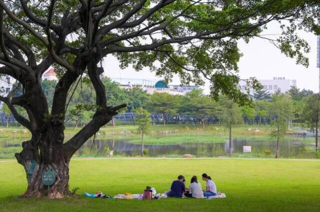 ▲茶山公园内，三五好友尽享秋色