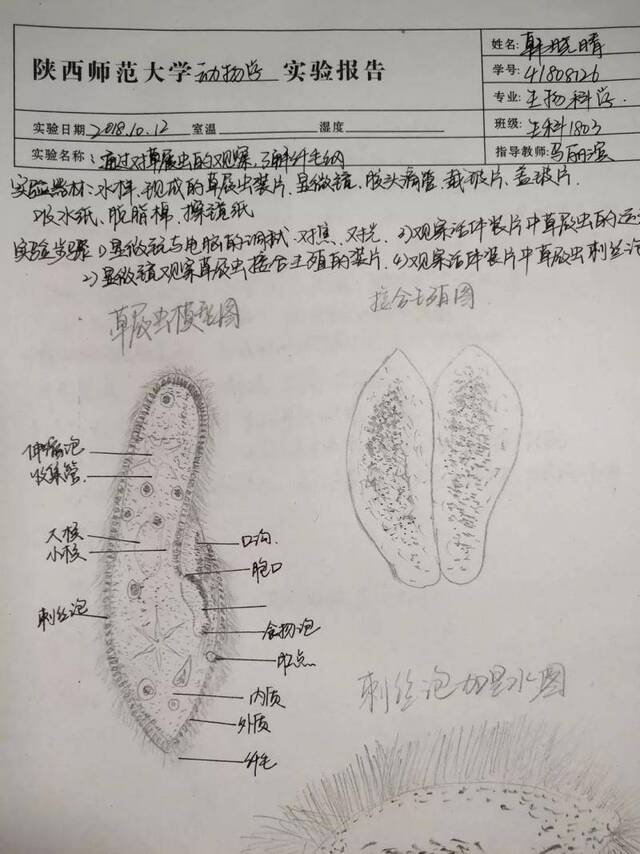 双十一！快来师大寻“宝”！