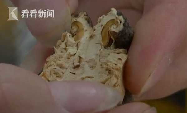 男子买香菇煲汤竟漂起无数小虫！超市这样答复