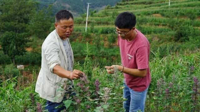 云南大山里走出的HEUer，为家乡“带货”，向世界讲述“扶贫经”