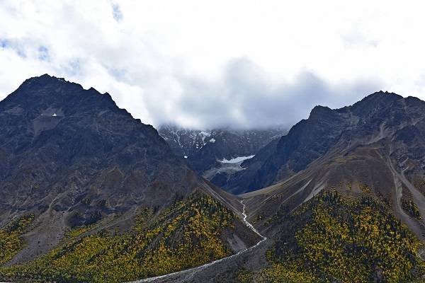 秋，像一位神奇的丹青妙手，天空、河山、丛林是它的画卷，肆意泼墨出一帧帧多彩的图画，美不胜收。（刘志云摄）