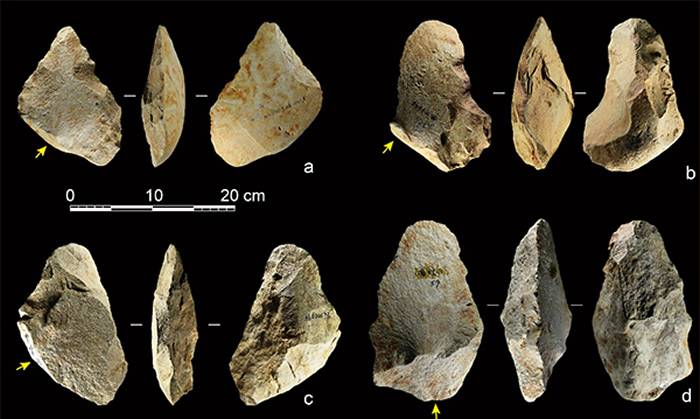 百色盆地以大石片为毛坯的手斧标本，黄色箭头指示打击方向（供图李浩、雷蕾）
