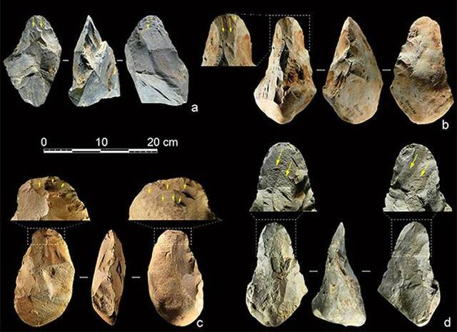 百色盆地手斧标本，黄色箭头指示尖部的纵向修型片疤（供图李浩、雷蕾）