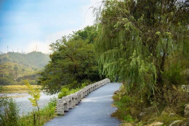 新增10条！“浙江最美绿道”，有你家附近的吗？