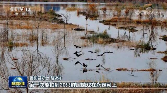 节水调水保水治水 北京水生态持续向好