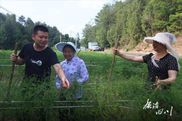 区纪检监察干部（左一）深入田间地头，实地了解脱贫产业政策兑现落实情况（聂见名摄）