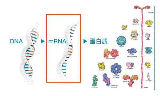 《麻省理工科技评论》50家聪明公司榜单发布：华为小米美团等入选