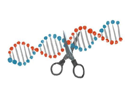 《麻省理工科技评论》50家聪明公司榜单发布：华为小米美团等入选