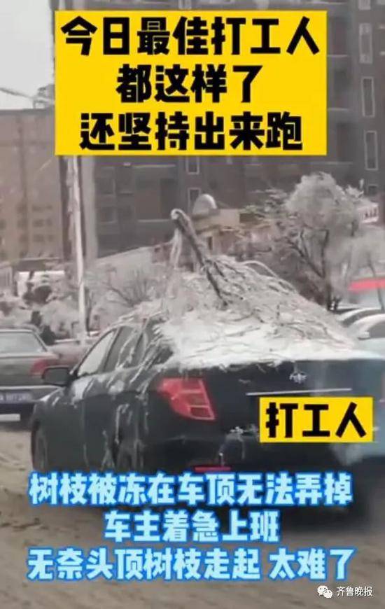 被大雪承包的热搜：我在北方裹着貂 你在南方露着腰