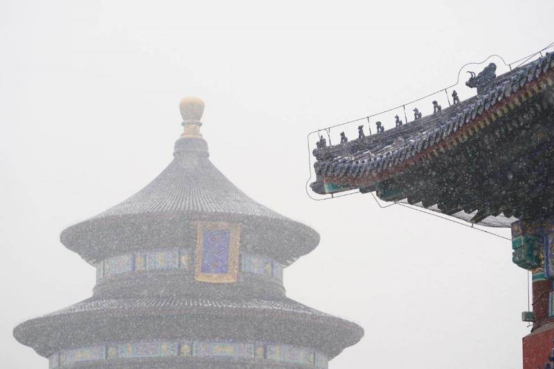 天坛祈年殿前菊花雪花相映成趣，游客赏花观雪两不误