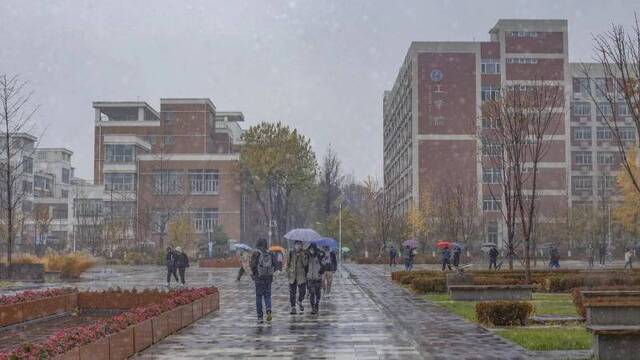 今日小雪，邀你共赏农大初雪