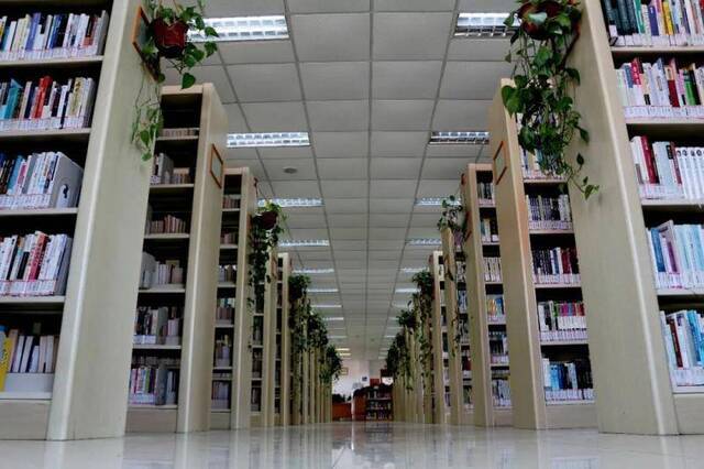 天凉了 有一种温暖来自上海师大图书馆