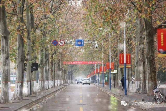 航拍西农初雪！陪你共赴白首！