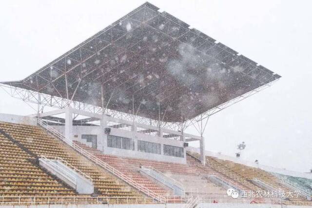 航拍西农初雪！陪你共赴白首！