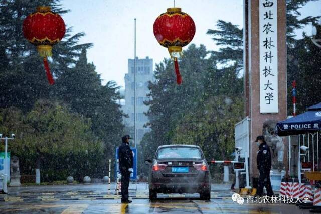 航拍西农初雪！陪你共赴白首！