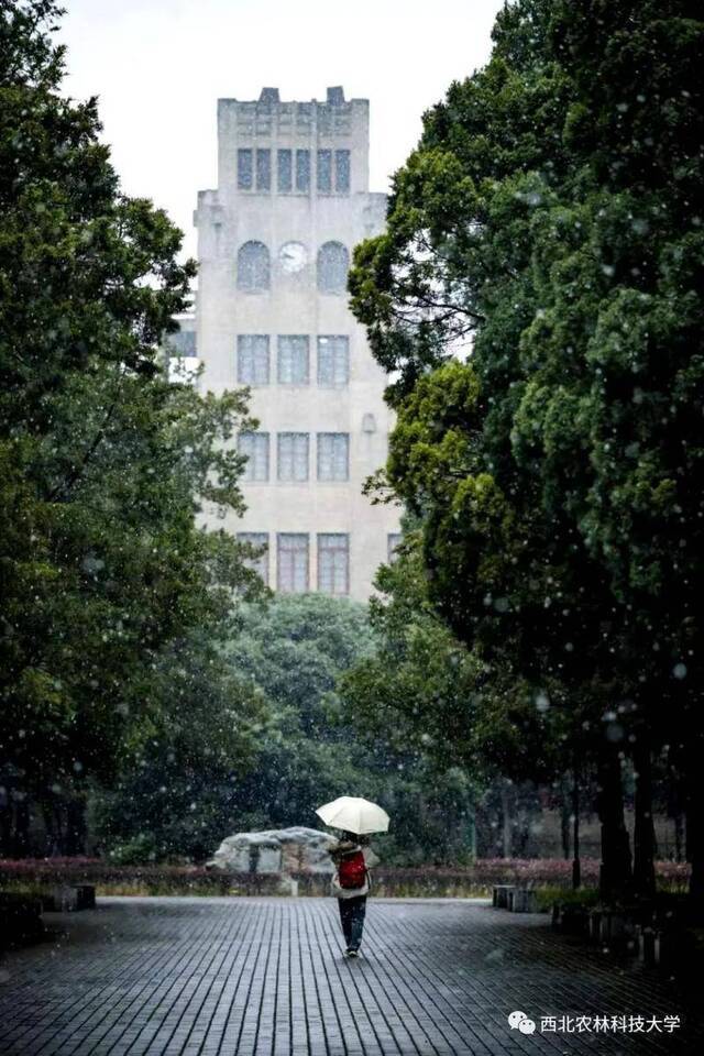 航拍西农初雪！陪你共赴白首！