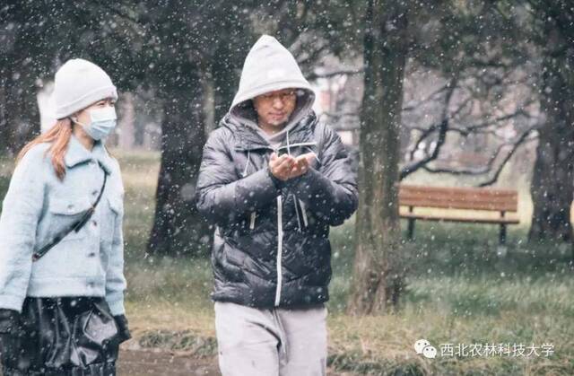 航拍西农初雪！陪你共赴白首！