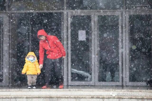 航拍西农初雪！陪你共赴白首！