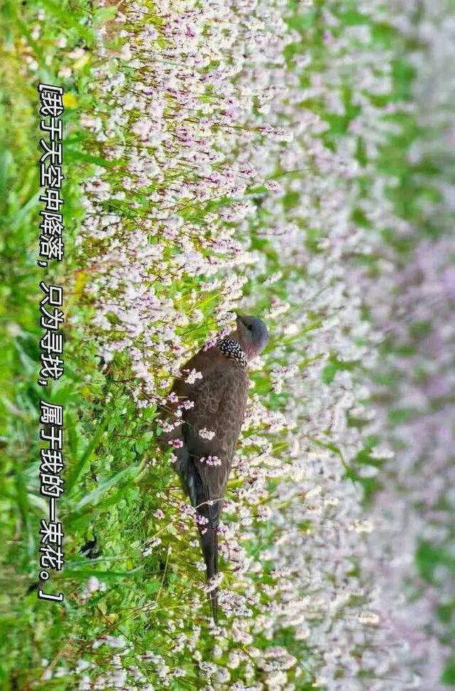 4℃阴雨，让一场华师电影温暖你~