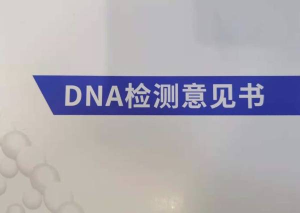 三万家庭不确定的性与爱，DNA亲子鉴定师：鉴定书系照妖镜