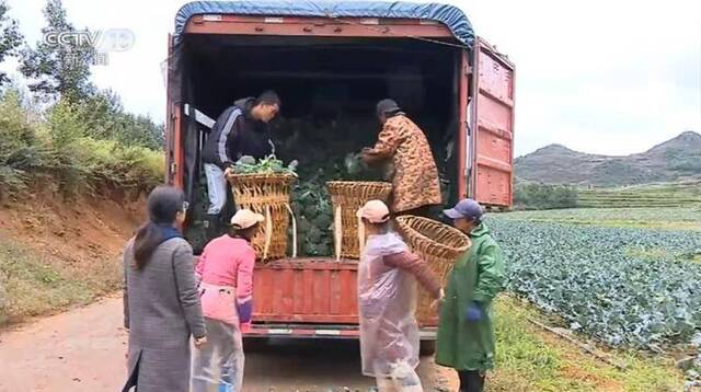 焦点访谈：穿山越岭、背驮肩扛……千年之渴，解了