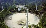 美国国家科学基金会发文称将拆除位于波多黎各的阿雷西博射电望远镜