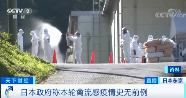史无前例！1天之内日本两地接连暴发禽流感 专家预测：或在全国蔓延