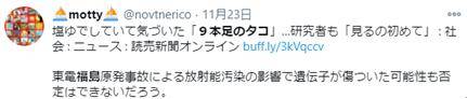 日本沿海惊现9足章鱼，专家称可能与再生能力有关，网友质疑提到“核辐射”