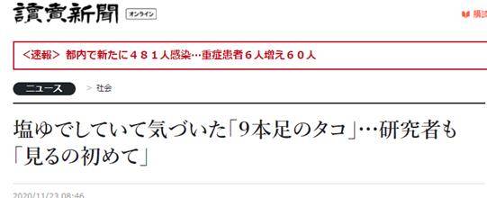 日本沿海惊现9足章鱼，专家称可能与再生能力有关，网友质疑提到“核辐射”