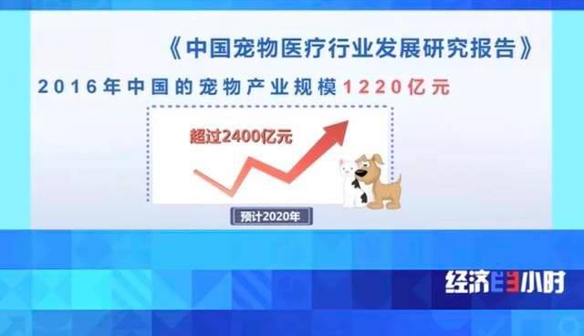 宠物也针灸、面部识别……市场规模或超2400亿元！