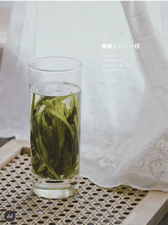 奶茶、咖啡、绿茶、白水，哪一个是你最爱？