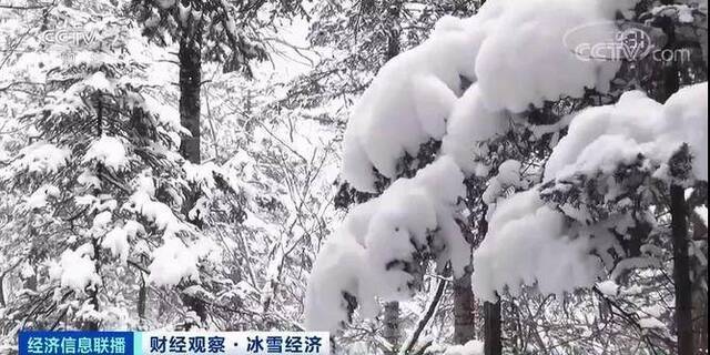 这种职业一个雪季狂赚超10万元 背后还有6800亿元大市场将至！