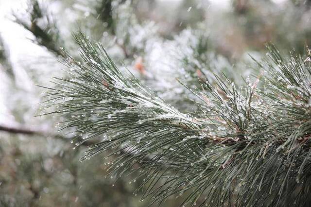 小雪过，冬已俏，北科喜事多！