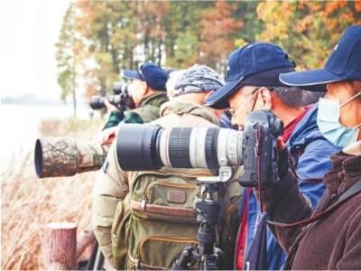 观鸟小分队在落雁景区拍鸟。记者宁秀梅范雅琴摄