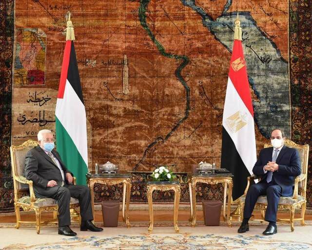 埃及总统塞西：巴勒斯坦问题“在埃及政治中占据优先地位”