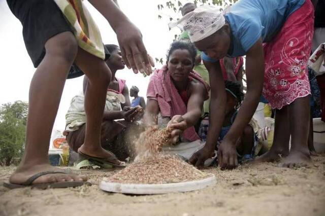 世界粮食计划署：干旱+新冠 津巴布韦儿童营养和粮食安全迅速恶化