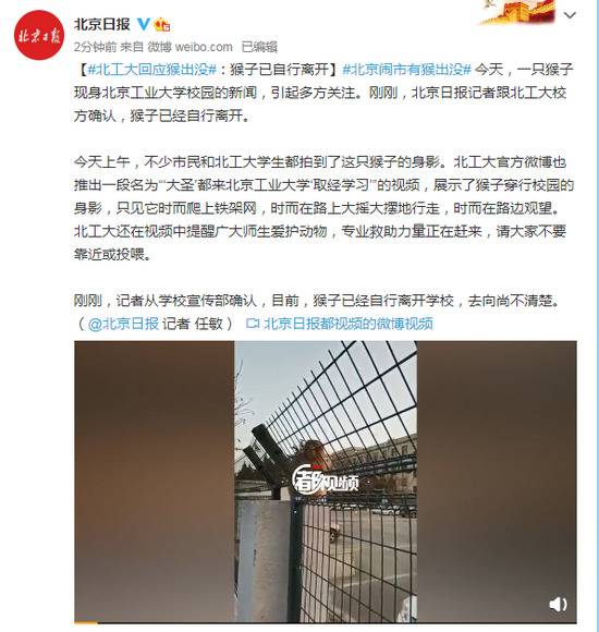 北工大回应“猴出没”：猴子已自行离开