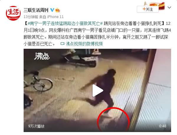 南宁一男子连续猛踢路边小猫致其死亡