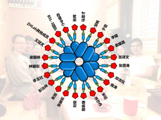 ▲中山大学病毒所新冠疫苗研发团队成员