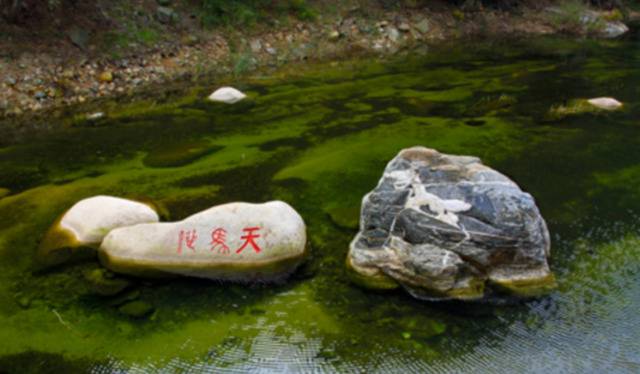 △泰山“天马池”（图源自泰山风景名胜区官方网站）