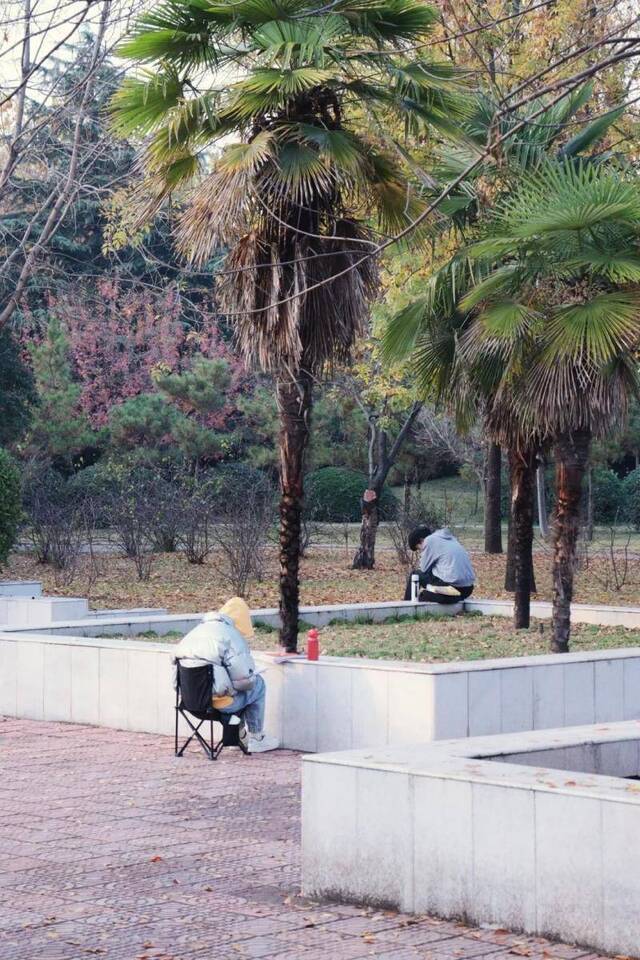 揭秘！师大风景里藏了这些......