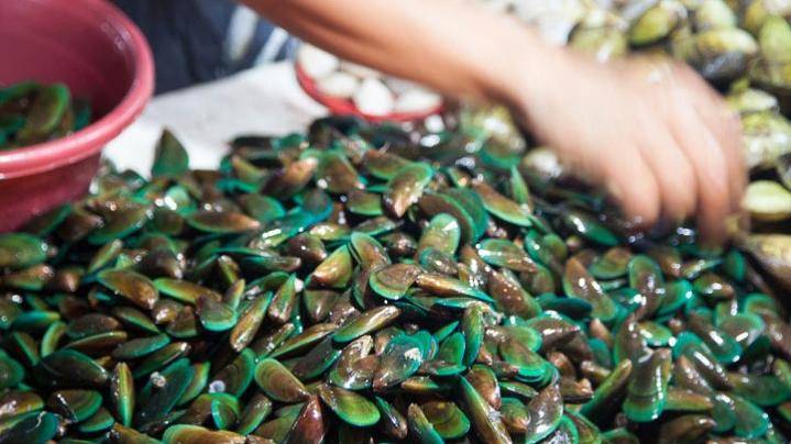 菲律宾比科尔海域贝类检出赤潮毒素 贝类海鲜被禁止食用