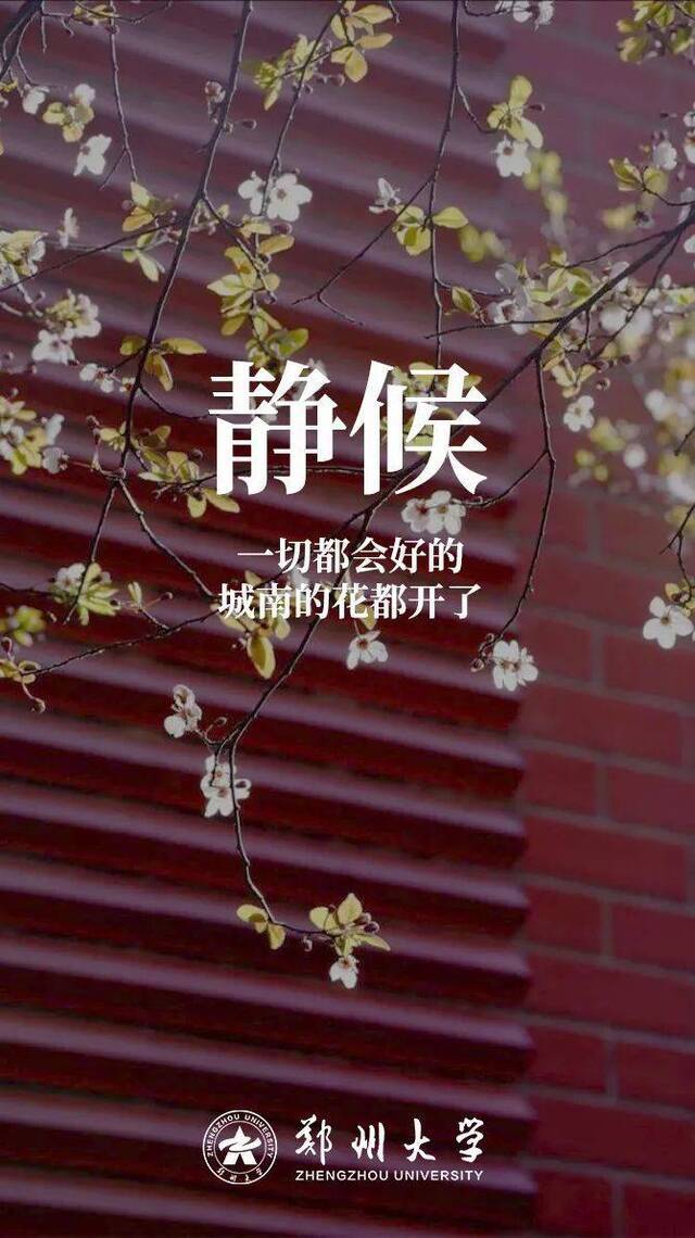 倒计时  致考研路上的你